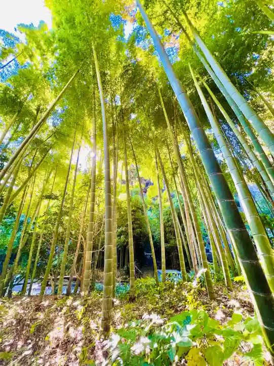 浄智寺(神奈川県)