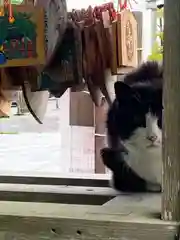 今市報徳二宮神社の動物