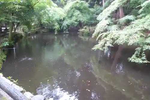 石上神宮の庭園