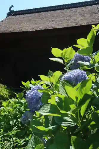性海寺(愛知県)