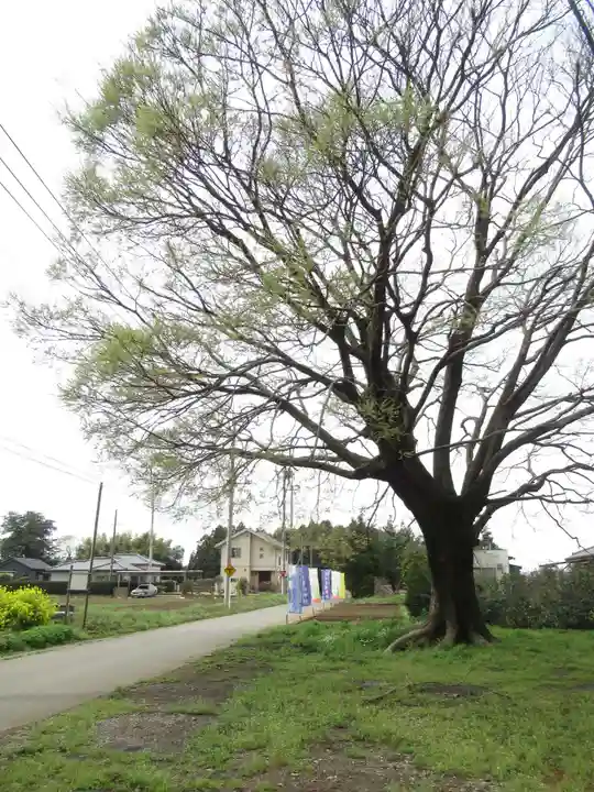 伏木香取神社(茨城県)