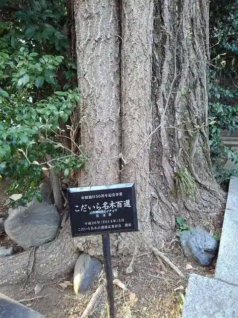 小平神明宮の庭園