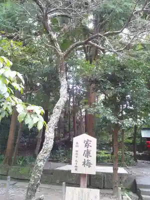 久能山東照宮(静岡県)