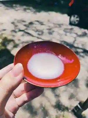 蠶養國神社(福島県)