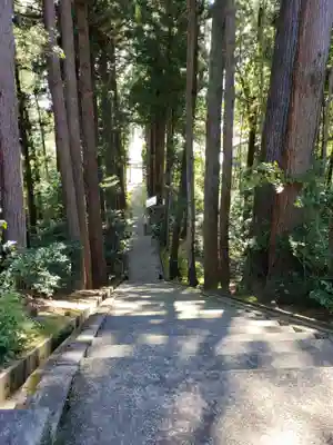 春日神社の景色
