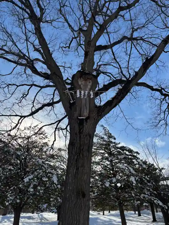 厚別神社(北海道)