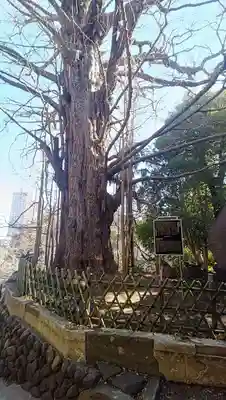 王子神社(東京都)