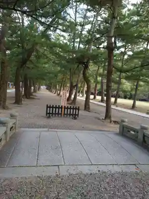 出雲大社(島根県)