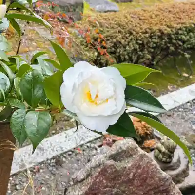 伊勢の国 四天王寺(三重県)