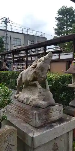 摩利支天堂 禅居庵の狛犬