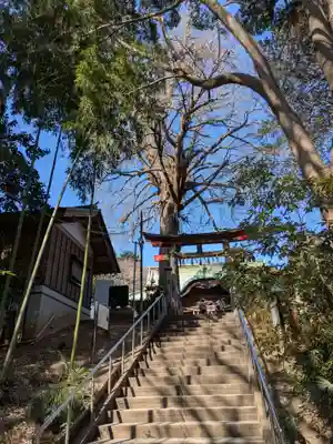 下総国三山　二宮神社(千葉県)