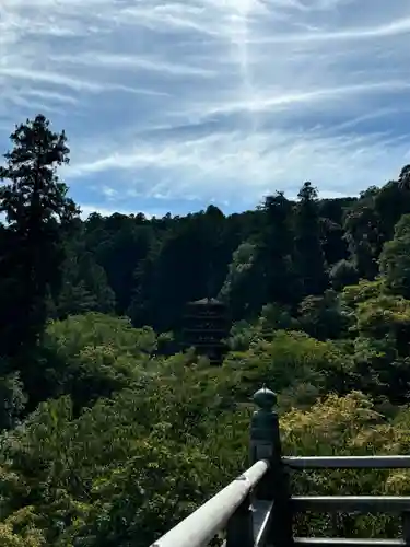 長谷寺(神奈川県)