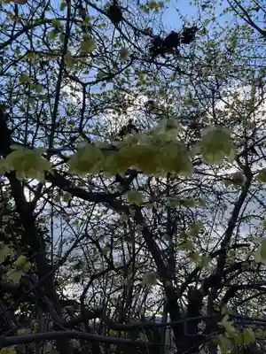 一心寺・一心禅寺(愛知県)