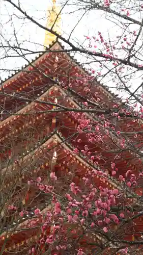 高幡不動尊　金剛寺(東京都)