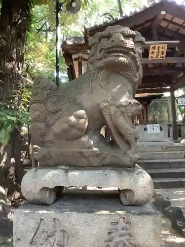 蝮ヶ池八幡宮の狛犬