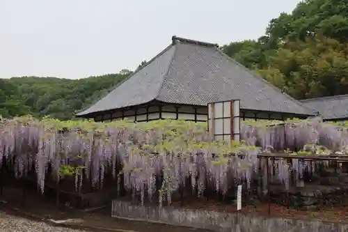 長泉寺の庭園