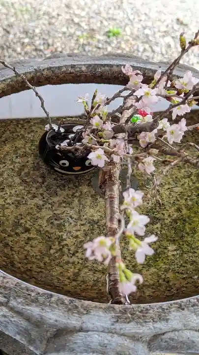 行願寺(革堂)(京都府)