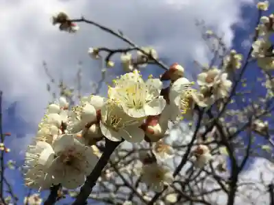 北野天満宮(京都府)
