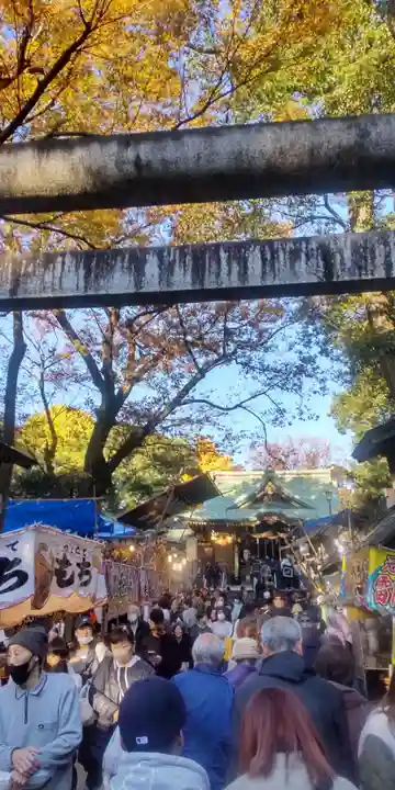 大鷲神社(東京都)