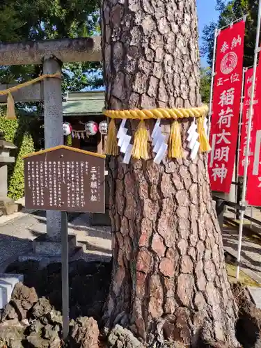 中野沼袋氷川神社(東京都)