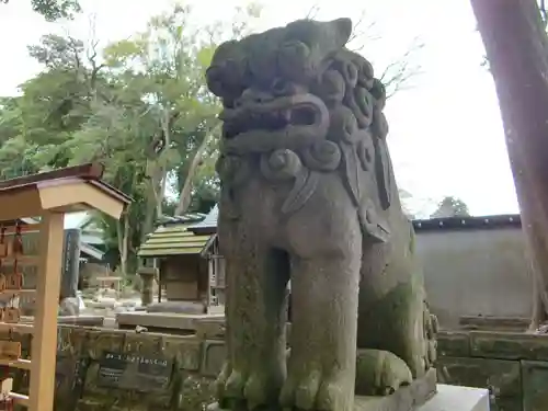 酒列磯前神社の狛犬