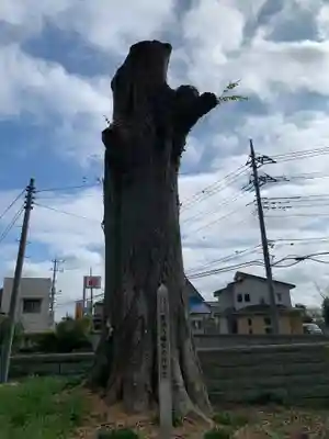 長沼八幡宮(栃木県)