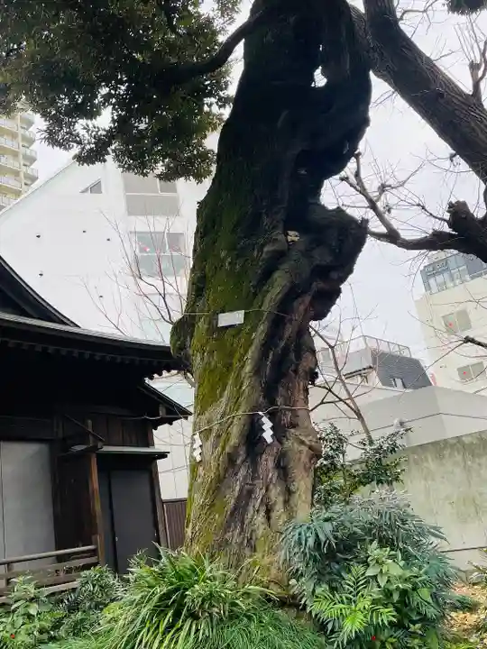 鹿嶋神社(東京都)
