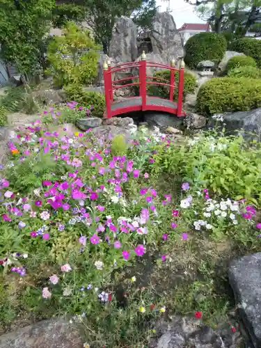 大鏑神社の自然