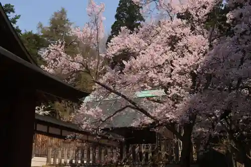 土津神社｜こどもと出世の神さまの本殿・本堂
