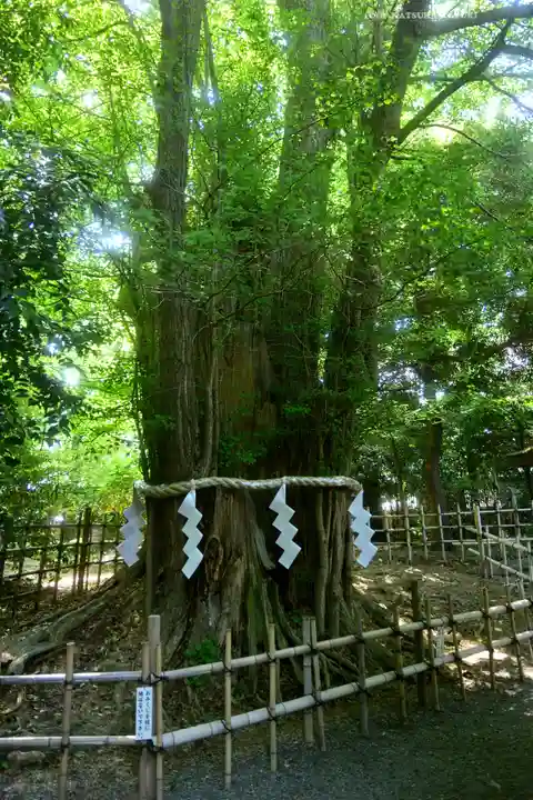 大國魂神社(東京都)