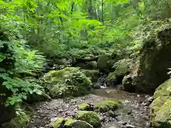 戸隠神社九頭龍社(長野県)