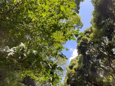 明治神宮(東京都)