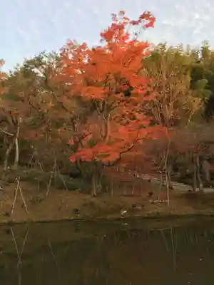 高台寺（高台寿聖禅寺・高臺寺）(京都府)