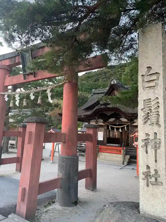 白鬚神社(滋賀県)