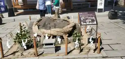 阿蘇白水龍神權現～白蛇神社～(熊本県)