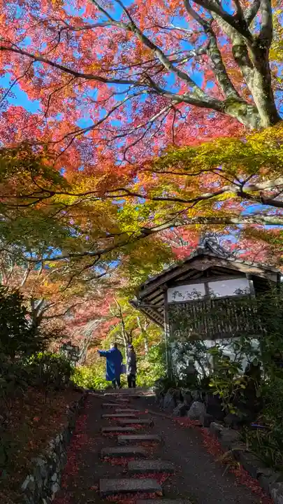 善峯寺(京都府)