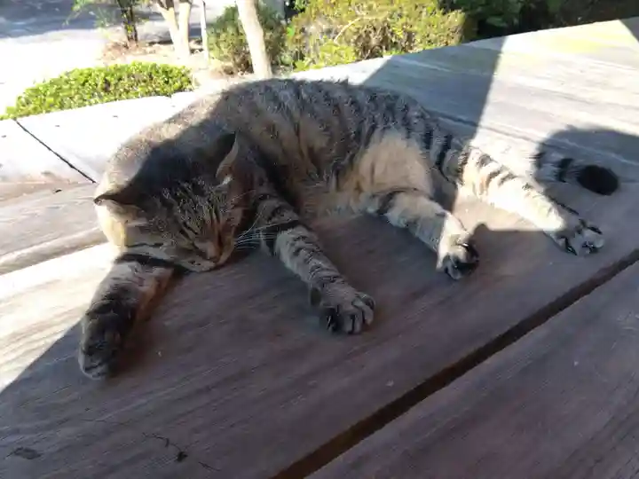 久米寺(奈良県)