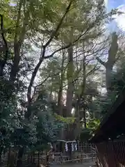 大國魂神社の自然