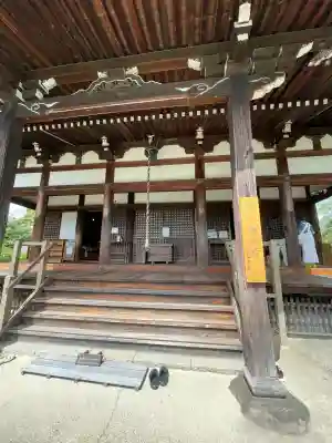般若寺 ❁﻿コスモス寺❁(奈良県)