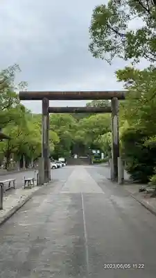 鹿児島神宮(鹿児島県)
