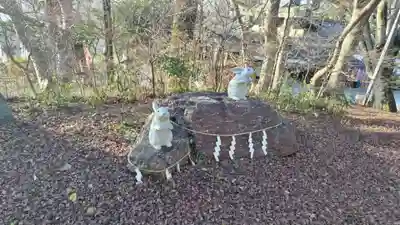 出雲大神宮の狛犬