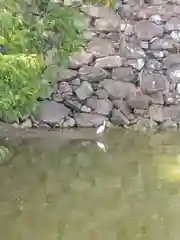 兵庫縣姫路護國神社(兵庫県)