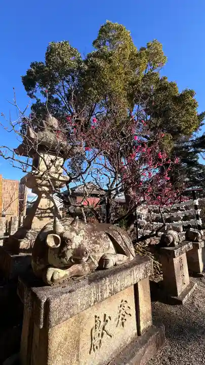 菅原天満宮(菅原神社)(奈良県)