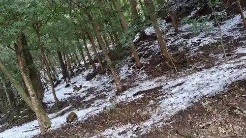出雲大神宮(京都府)