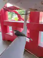 白狐山光星寺(山形県)