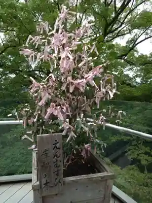 宝満宮竈門神社(福岡県)
