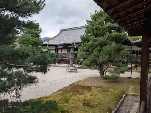 大覚寺(京都府)