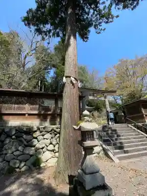 丹生川上神社（下社）(奈良県)