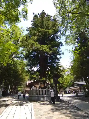 諏訪大社下社秋宮(長野県)