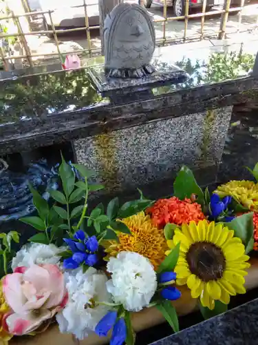 新琴似神社(北海道)
